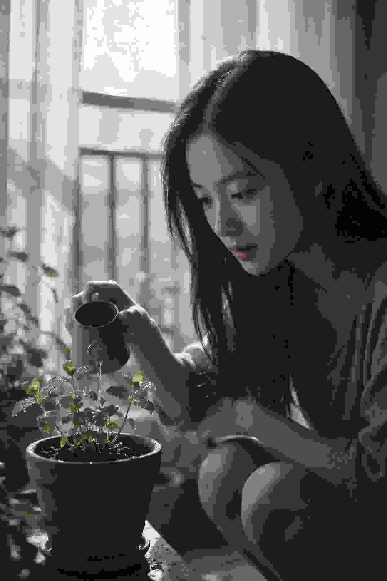 碧血剑荣耀版